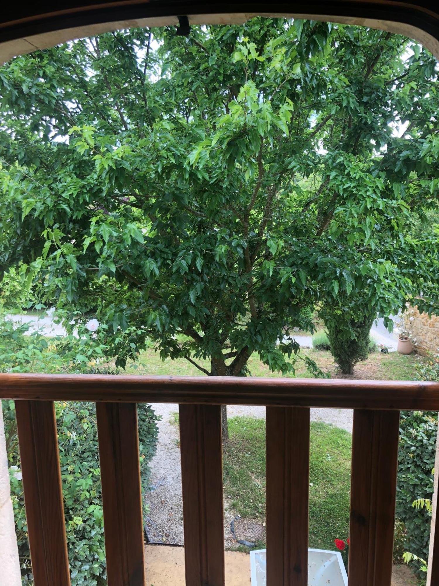La Riviere Esperance Villa Veyrignac Bilik gambar